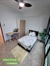 Simei Green Condominium (D18), Condominium #586797151